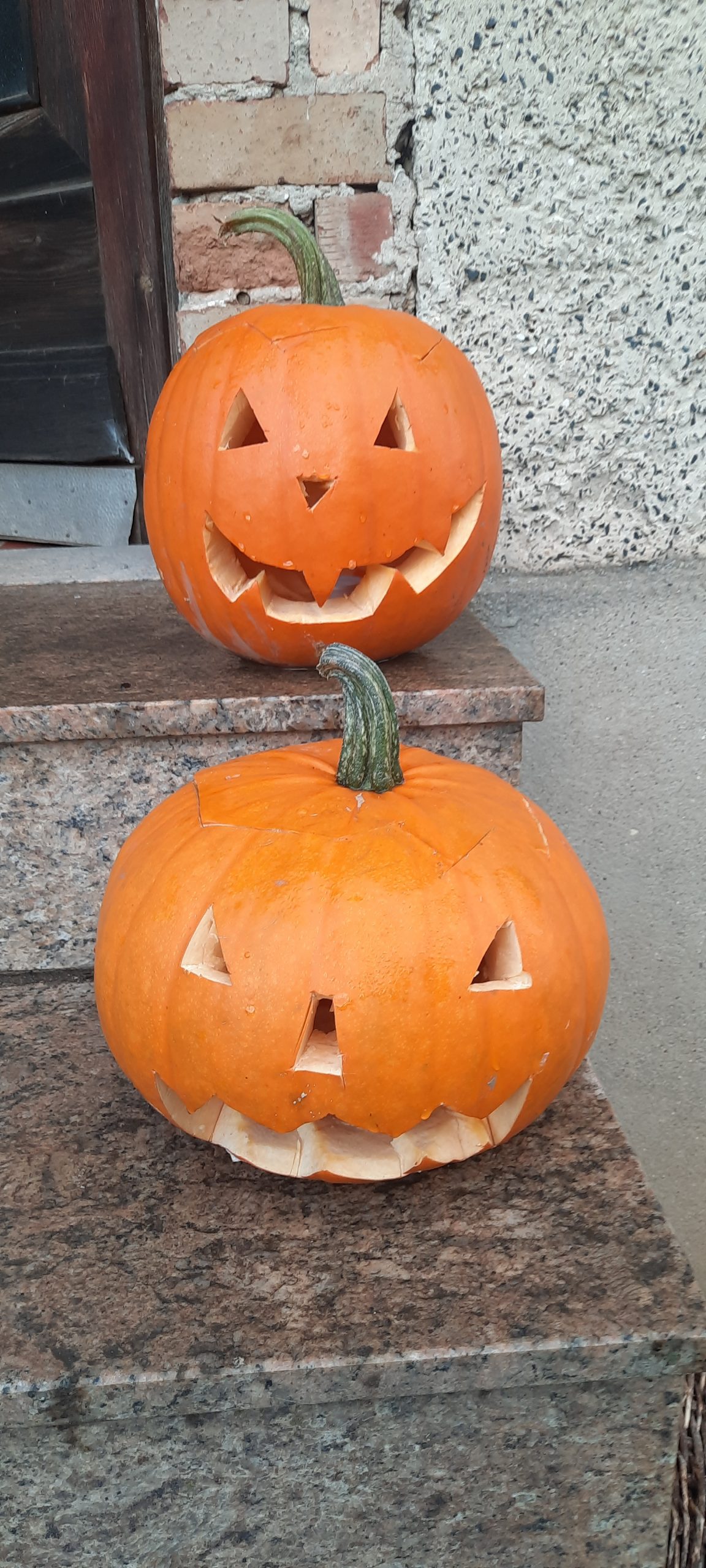 Halloween-Kürbisse ! - Bauernhof Ennenbach
