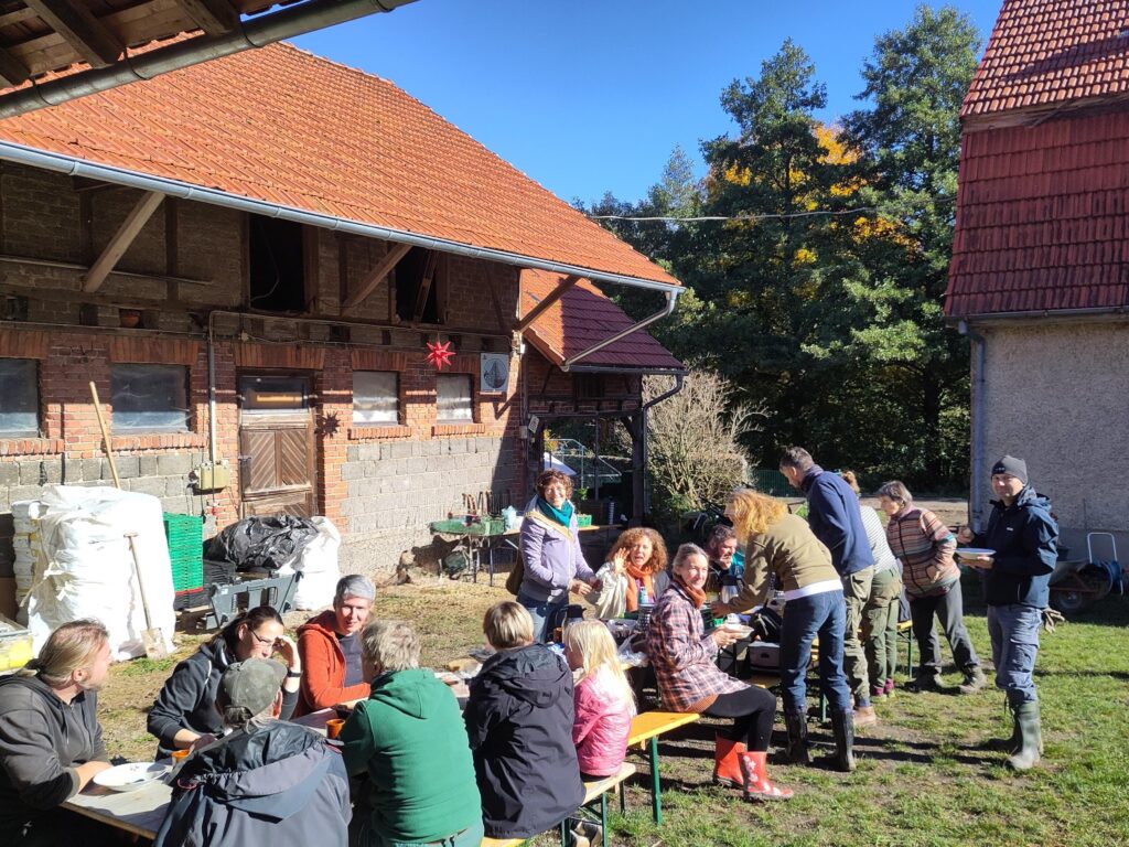 Möhrenernte 2025 © Bauernhof Ennenbach